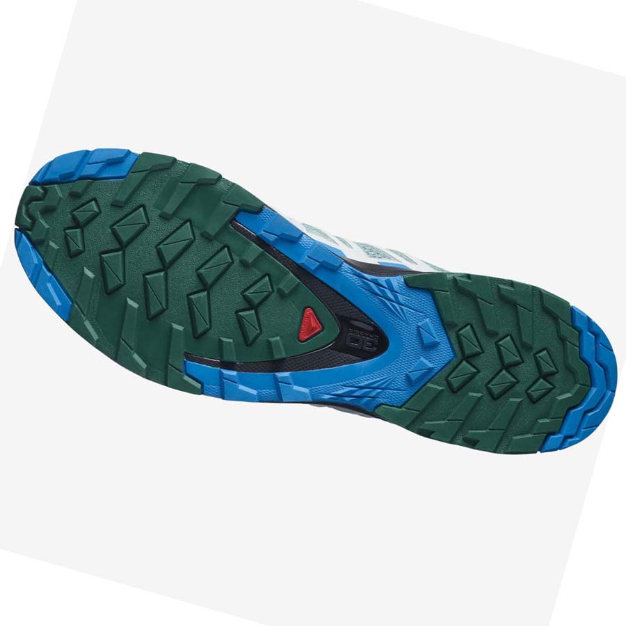 Salomon XA PRO 3D v8 Trail Futócipő Férfi Menta | HU 2099HAP